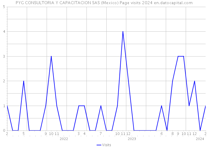 PYG CONSULTORIA Y CAPACITACION SAS (Mexico) Page visits 2024 