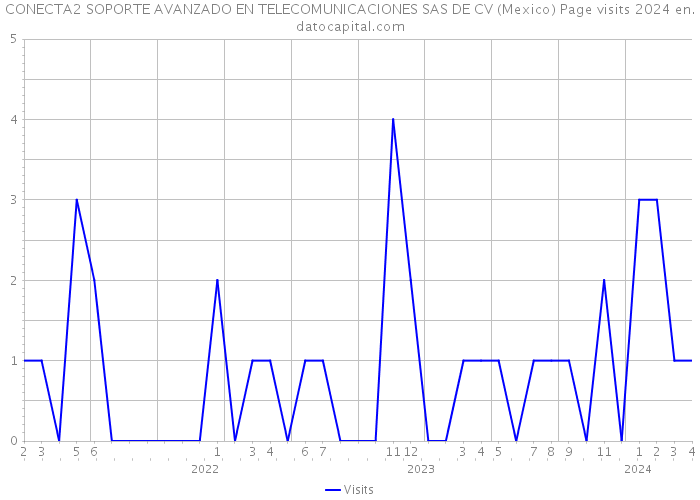 CONECTA2 SOPORTE AVANZADO EN TELECOMUNICACIONES SAS DE CV (Mexico) Page visits 2024 