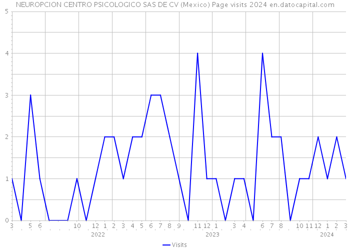 NEUROPCION CENTRO PSICOLOGICO SAS DE CV (Mexico) Page visits 2024 