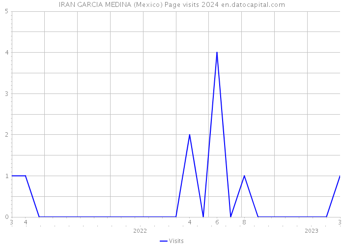 IRAN GARCIA MEDINA (Mexico) Page visits 2024 