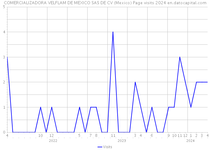 COMERCIALIZADORA VELFLAM DE MEXICO SAS DE CV (Mexico) Page visits 2024 