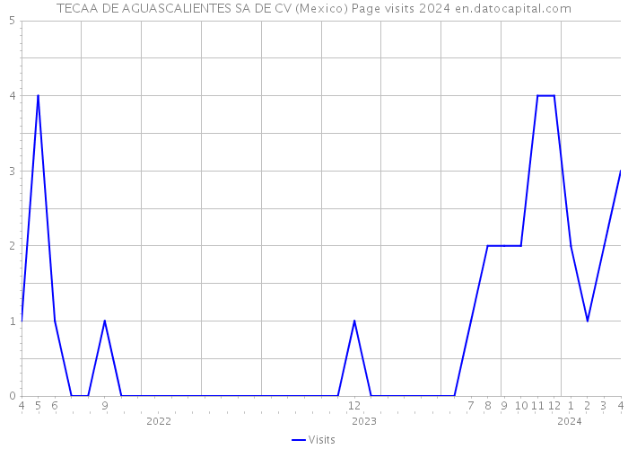 TECAA DE AGUASCALIENTES SA DE CV (Mexico) Page visits 2024 
