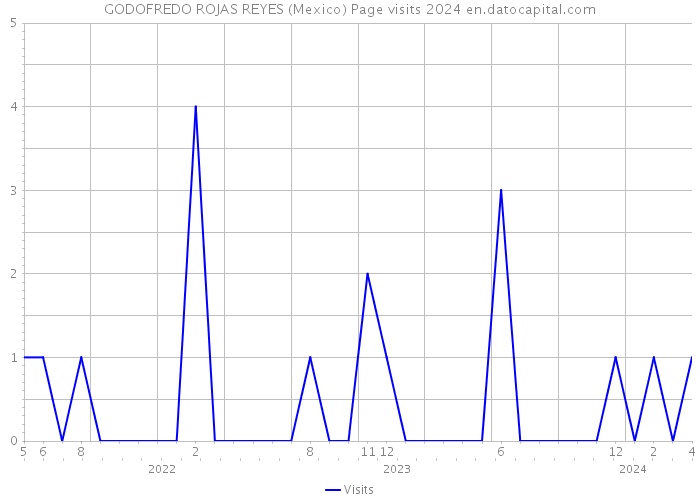 GODOFREDO ROJAS REYES (Mexico) Page visits 2024 