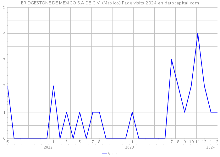 BRIDGESTONE DE MEXICO S.A DE C.V. (Mexico) Page visits 2024 