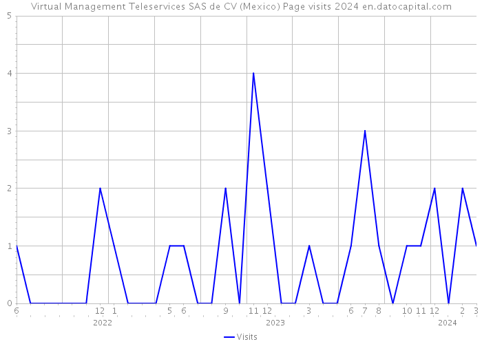 Virtual Management Teleservices SAS de CV (Mexico) Page visits 2024 