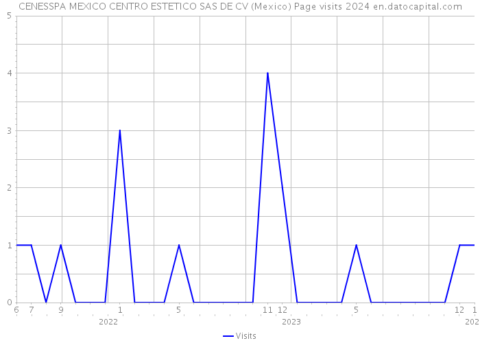 CENESSPA MEXICO CENTRO ESTETICO SAS DE CV (Mexico) Page visits 2024 