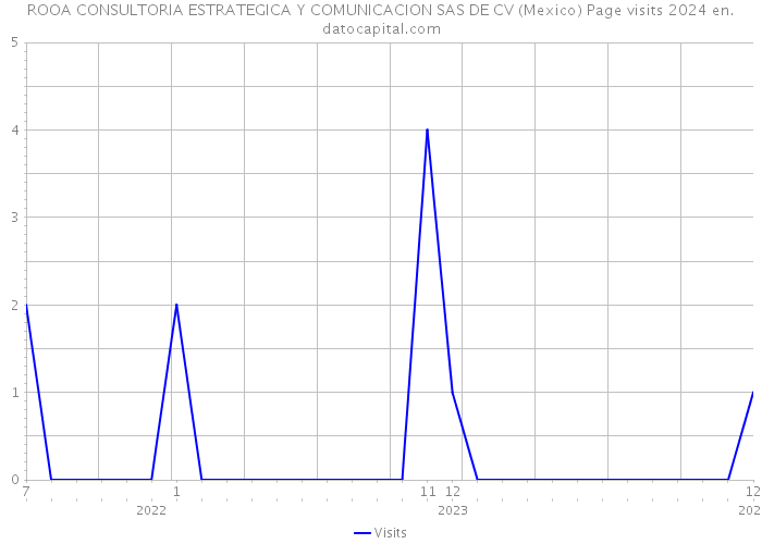 ROOA CONSULTORIA ESTRATEGICA Y COMUNICACION SAS DE CV (Mexico) Page visits 2024 