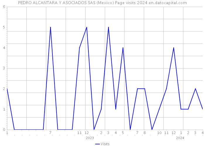 PEDRO ALCANTARA Y ASOCIADOS SAS (Mexico) Page visits 2024 