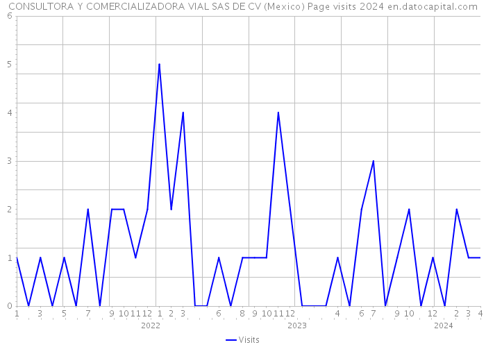 CONSULTORA Y COMERCIALIZADORA VIAL SAS DE CV (Mexico) Page visits 2024 