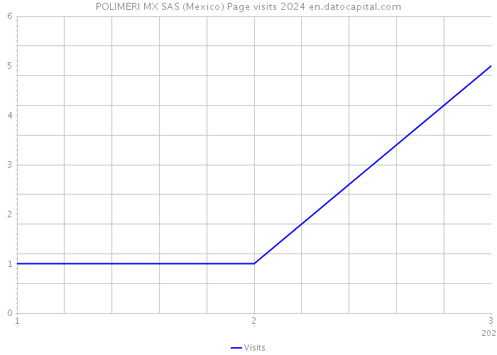 POLIMERI MX SAS (Mexico) Page visits 2024 
