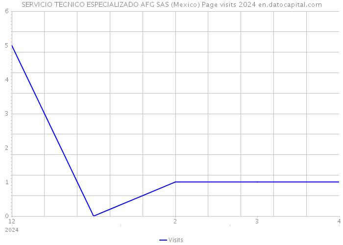 SERVICIO TECNICO ESPECIALIZADO AFG SAS (Mexico) Page visits 2024 