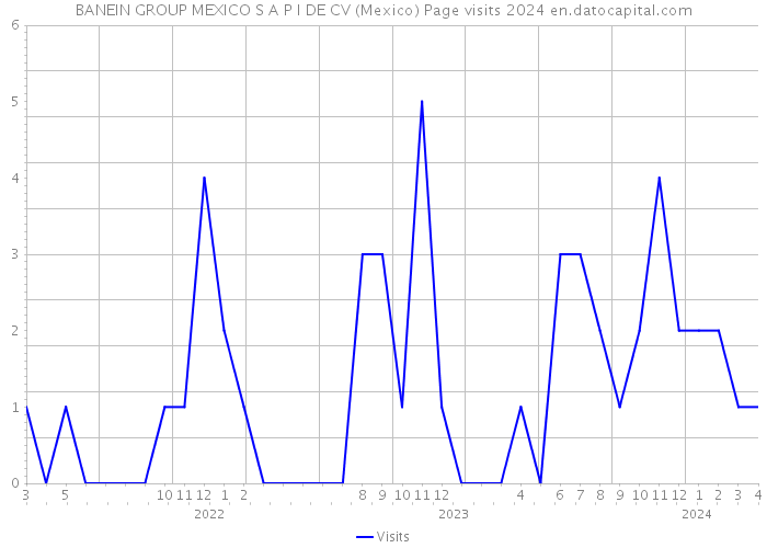 BANEIN GROUP MEXICO S A P I DE CV (Mexico) Page visits 2024 