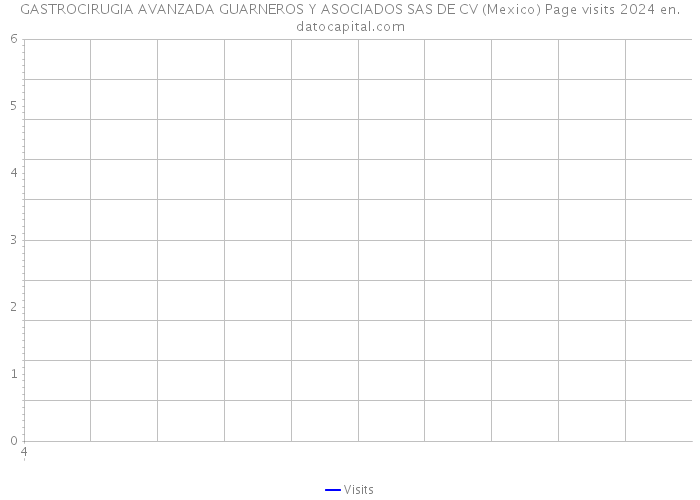 GASTROCIRUGIA AVANZADA GUARNEROS Y ASOCIADOS SAS DE CV (Mexico) Page visits 2024 