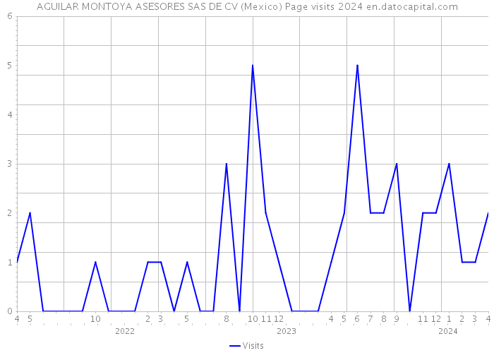 AGUILAR MONTOYA ASESORES SAS DE CV (Mexico) Page visits 2024 