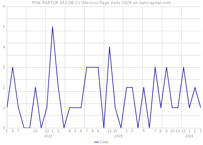 PINK RAPTOR SAS DE CV (Mexico) Page visits 2024 