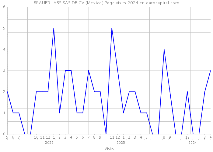 BRAUER LABS SAS DE CV (Mexico) Page visits 2024 