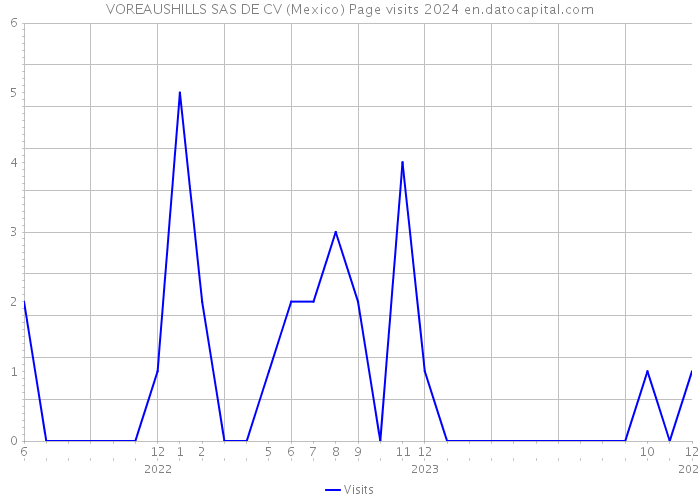 VOREAUSHILLS SAS DE CV (Mexico) Page visits 2024 