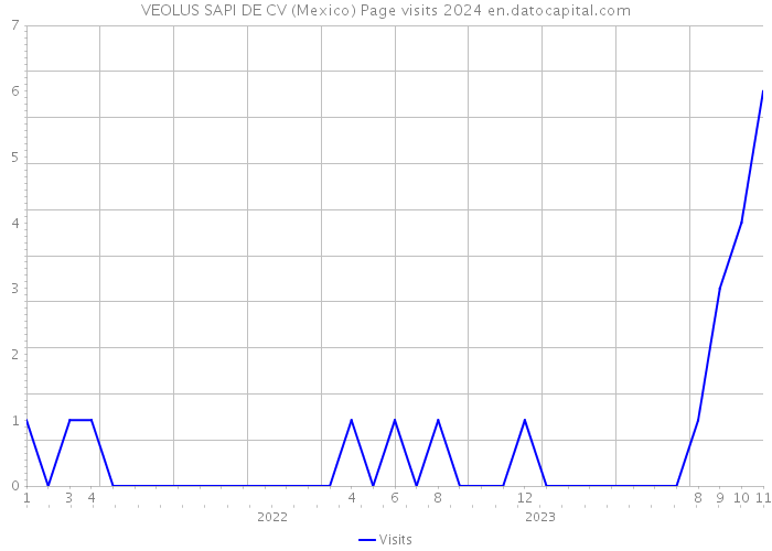 VEOLUS SAPI DE CV (Mexico) Page visits 2024 