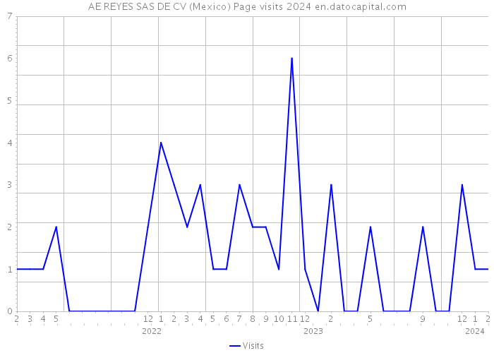 AE REYES SAS DE CV (Mexico) Page visits 2024 