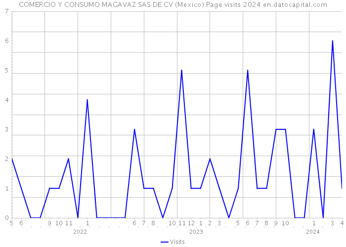 COMERCIO Y CONSUMO MAGAVAZ SAS DE CV (Mexico) Page visits 2024 
