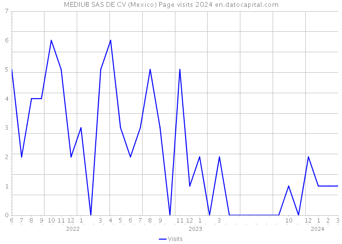 MEDIUB SAS DE CV (Mexico) Page visits 2024 