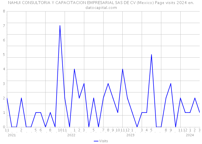 NAHUI CONSULTORIA Y CAPACITACION EMPRESARIAL SAS DE CV (Mexico) Page visits 2024 