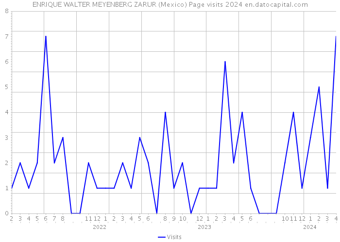 ENRIQUE WALTER MEYENBERG ZARUR (Mexico) Page visits 2024 