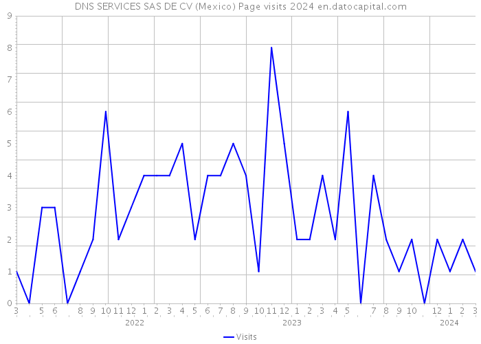 DNS SERVICES SAS DE CV (Mexico) Page visits 2024 