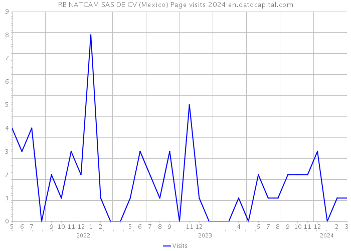 RB NATCAM SAS DE CV (Mexico) Page visits 2024 