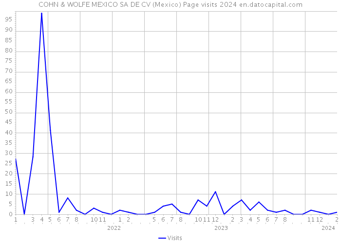 COHN & WOLFE MEXICO SA DE CV (Mexico) Page visits 2024 